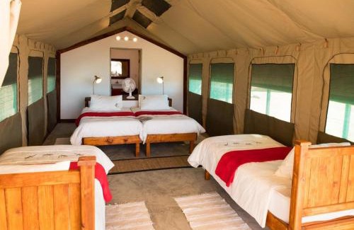 Sesriem Other | Namib Desert Camping2Go
