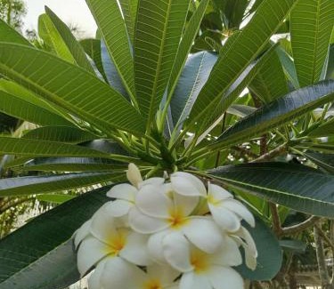 Ham Ninh Hotel | Nana accommodations belongs to Naomi resort