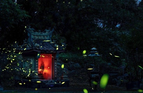 Nanzhuang Bed & Breakfast | Nanyang62