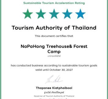 Phrao House | Napahong Treehouse นาป่าฮง Andromeda & Cassiopeia