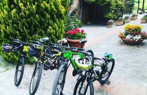 Torrita di Siena Villa | Naturadix Agricole Group