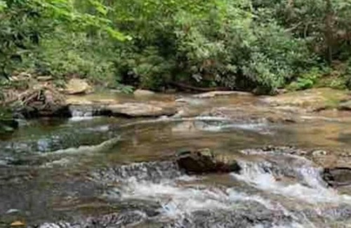 Marshall Cabin | Natural Spring Fed "Cedar Hot Tub" - 120 Private Acres, water fall & trails