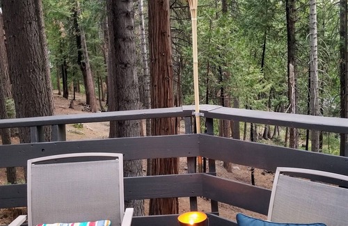 Arnold Ski Chalet | Nature Lover's Paradise: Luxurious The Shire - Cubs Crossing Chalet in Sierras