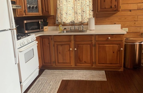 Atlanta House | Nature lovers paradise w/direct access to lake, trails & ample trailer parking.