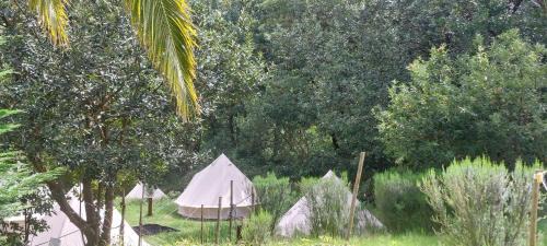 Porto Moniz Other | Nature Retreat - Laurel Forest