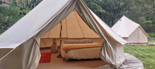 Porto Moniz Other | Nature Retreat - Laurel Forest