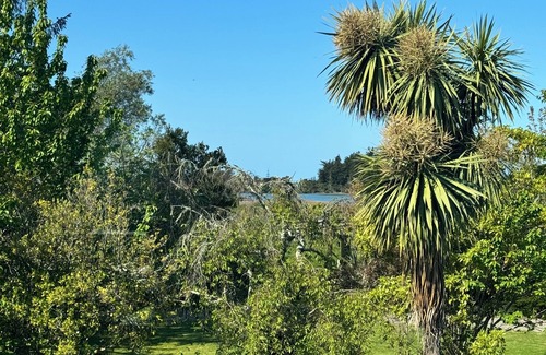 Motueka House | Natures Nest - A home away from home, for you, the kids and the pets.