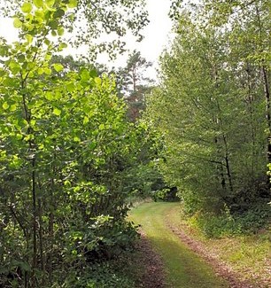 Ullared Cabin | Naturnära STUGA ULLARED