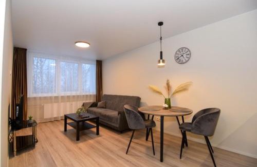 Siauliai Apartment | Naujai įrengtas 2-jų kambarių butas