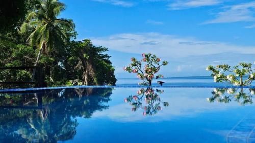 Wori Resort | Nayara Villa Desa Budo