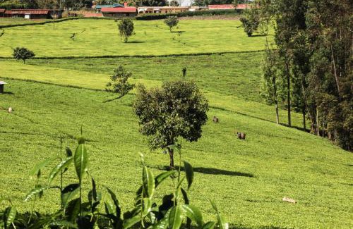 Murang'a County House | Ndakaini Farm and Studio