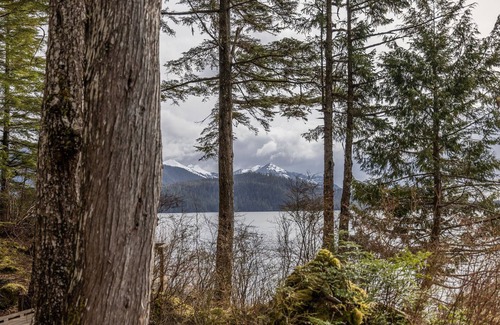 Sitka Cabin | Nestled in the Heart of Nature
