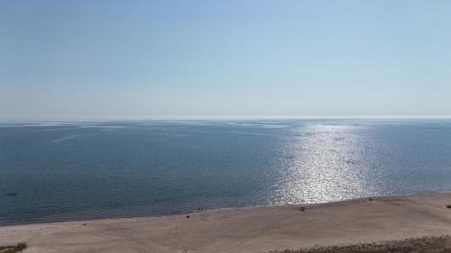 Oscoda House | New! Carpe Diem 365 - Very Cute Lakefront Condo!