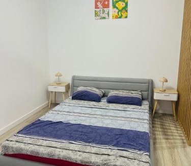 Ramnicu Valcea Apartment | New concept bulevard