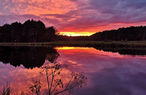 Oberhavel House | New family-friendly holiday home directly on the water, forest and cycle path