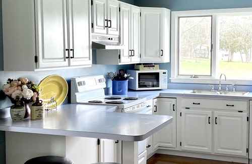 Romulus Other | NEW! Lakefront Farmhouse in the heart of the Finger Lakes Wine Trail