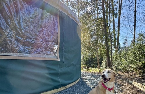 Bar Harbor RV Rental | New luxurious 24’ yurt located in Bar Harbor, Maine with access to Northeast Creek