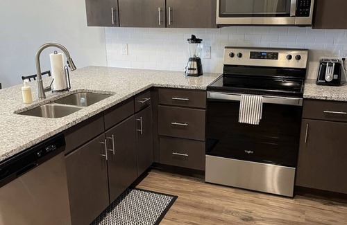 Deerwood Apartment | New Luxury Oasis - Near Mayo Clinic & Saint Johns Town Center
