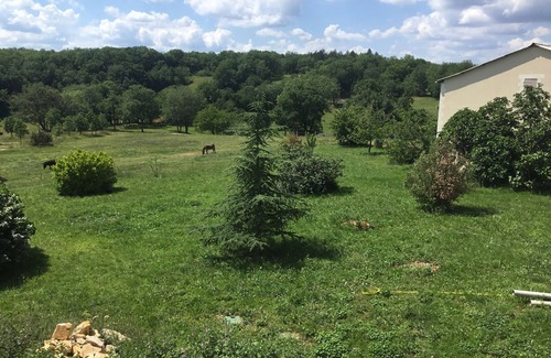 Florimont-Gaumier House | New! Magnificent renovated country house in peaceful setting with forest and meadow