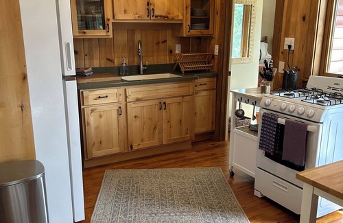 Conifer Cabin | New! Mountain cabin escape - 1 hr from DIA! Gas firepit & Wifi