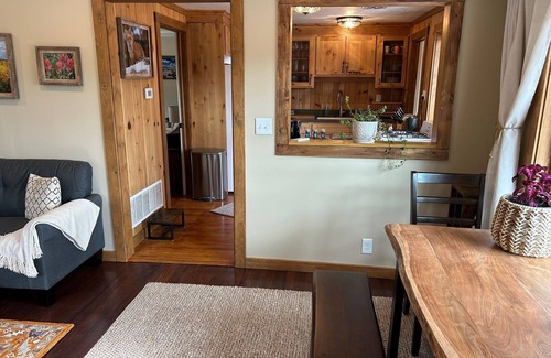 Conifer Cabin | New! Mountain cabin escape - 1 hr from DIA! Gas firepit & Wifi