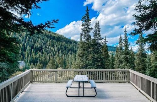 Breckenridge House | NEW Remodeled Cozy Mountain Getaway