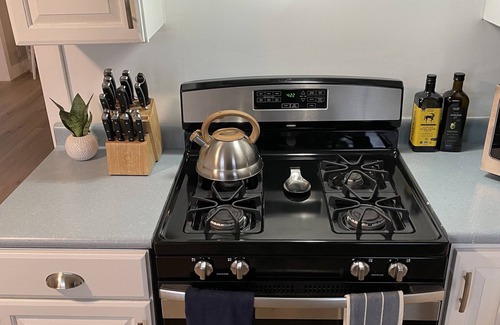 Oak Harbor Cottage | New: Romantic Winter Getaway w/Igloo