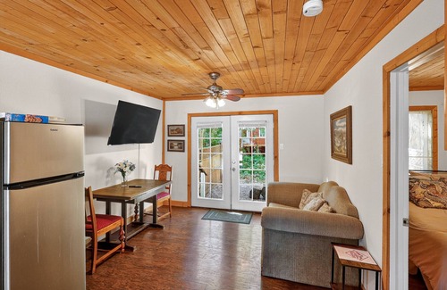 Cobb Apartment | NEW! Rouge Cobb Mountain Hotel - Cabin 1