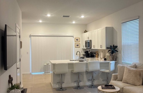 Sarasota House | New townhome, corner lot overlooking park