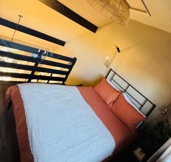 Wigston House | New, unique, tiny house with garden