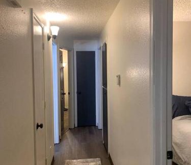 Fairbanks Apartment | Newly Remodeled Relaxing Stay near Downtown