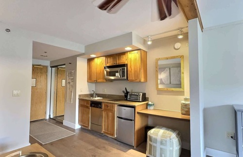 Crested Butte Condo | Newly Remodeled studio! Pool, Hot Tub, Gym.