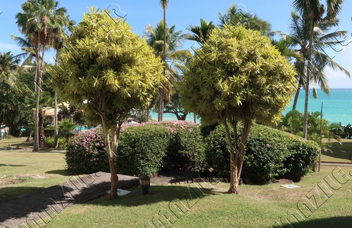 Pointe de la verdure Apartment | Newly renovated apartment, seafront and sea view