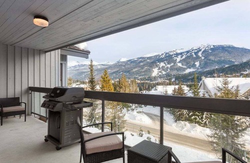 Blueberry Hill Apartment | Newly renovated | Free parking | BBQ | AC