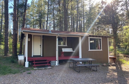 Payson Cabin | Newly updated bathroom!- Indoor Fireplace & Jacuzzi; cot for kids in second room