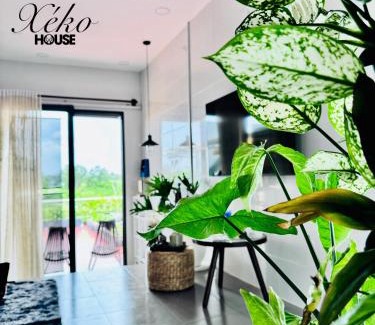 Ben Tre Apartment | Nhà có sân thượng cây xanh view đẹp không gian yên tĩnh