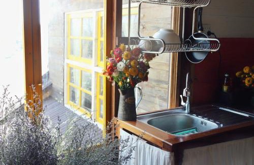 Da Lat Apartment | Nhà Dưới Đồi Homestay