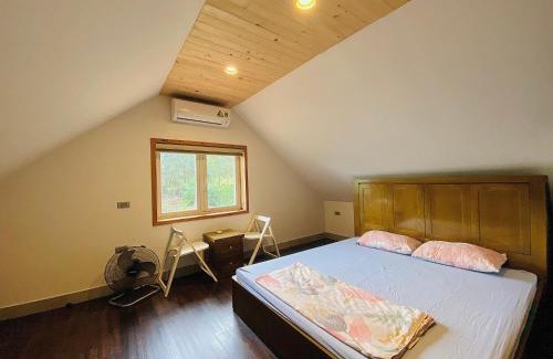 Soc Son Apartment | Nhà gác mái ven rừng gần Sân bay Nội Bài - Biệt thự con công