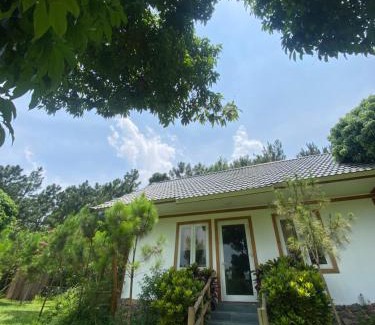 Soc Son Apartment | Nhà gác mái ven rừng gần Sân bay Nội Bài - Biệt thự con công