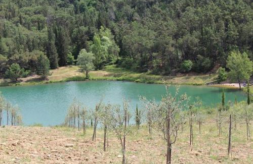 Gaiole in Chianti Apartment | Nicchio