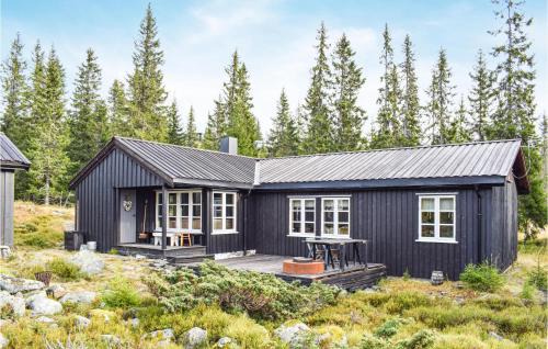 Sjusjoen House | Nice Home In Sjusjøen With Wifi
