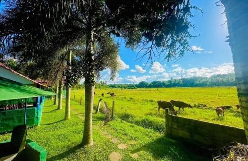 Weeraketiya Hotel | Nildiya hotel