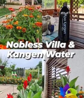 Mereni House | Nobless Villa