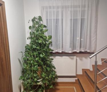 gmina Wisznia Mała House | Noclegi Budomas Budget Wrocław-Szymanów FreeParking SmartTv