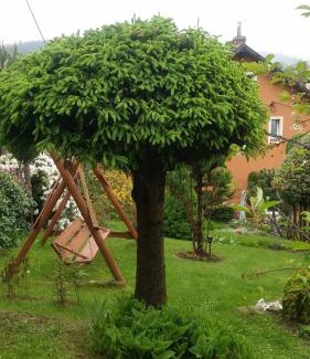 Duszniki Zdroj House | Noclegi U Andrzeja
