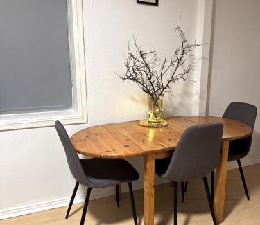 Bodo Apartment | Norway Lights center of Bodo near Train station and Aeroport