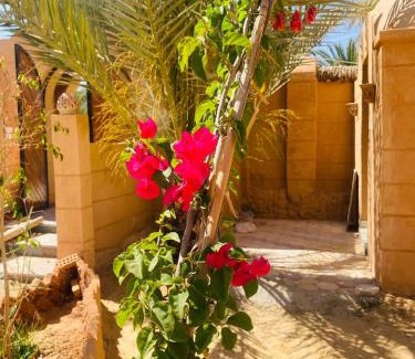 Siwa Hotel | Nour El wadi
