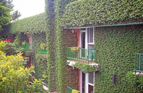San Salvador Apartment | Novo Hotel & Suite