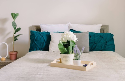 South Main House | NRG/MED CENTER MINS FROM EVERYTHING!! THE PERFECT GETAWAY!!!