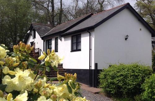 Tiverton House | Nuthatch near Huntsham